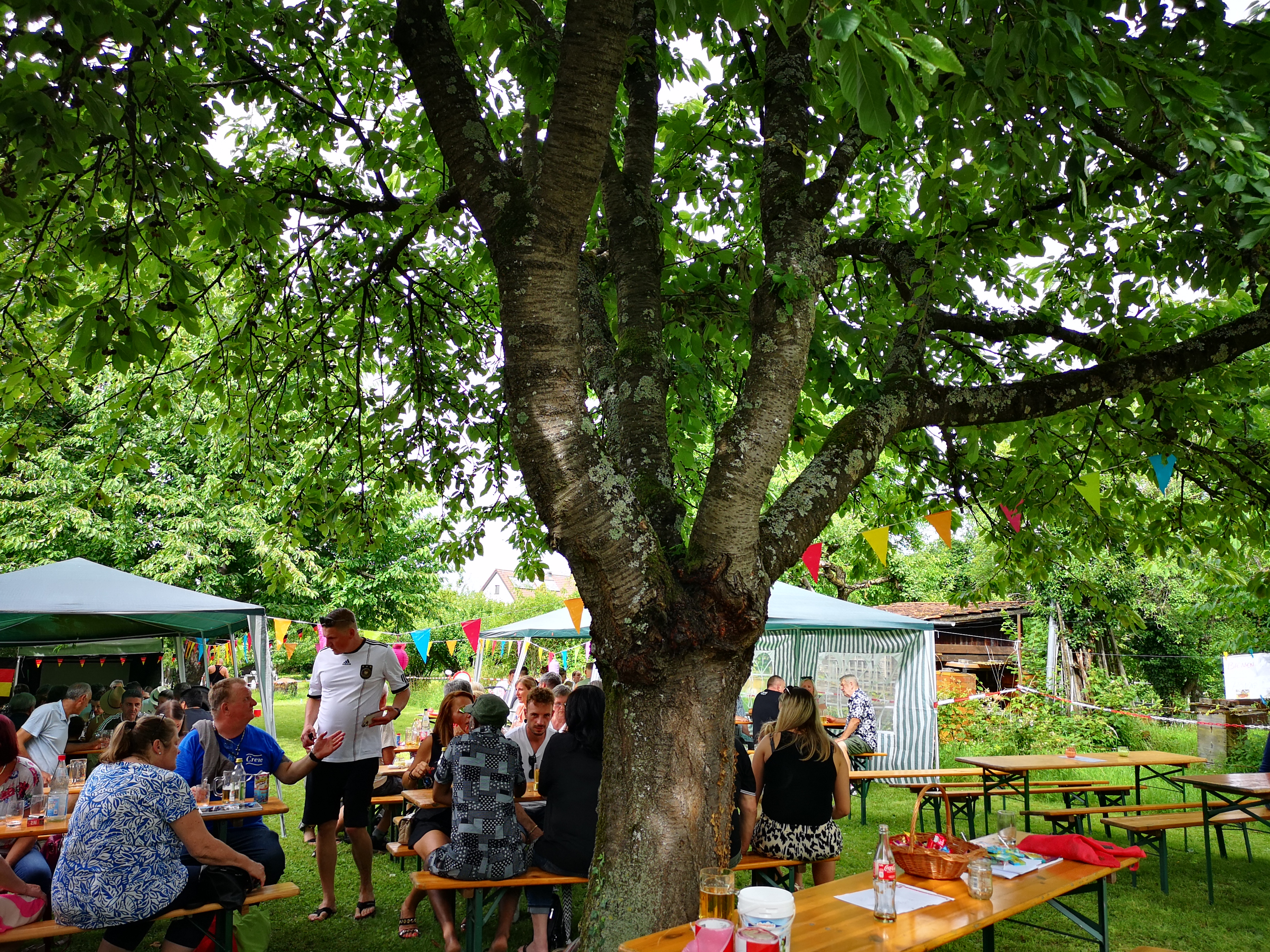 Siedler- Gartenfest